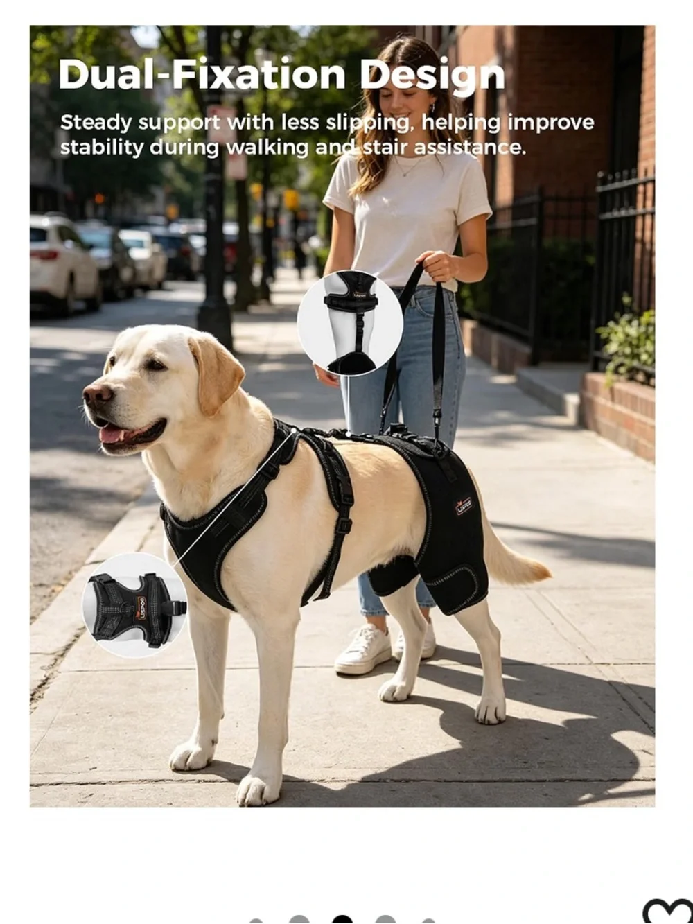 Lispoo Dog Hip Support Brace-Adjustable Dog Leg Brace for Hip Dysplasia-L